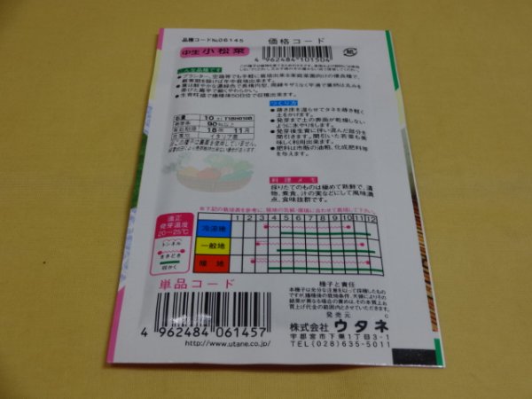 画像2: 中生小松菜 (2)