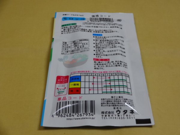 画像2: いんげん モロッコ (2)