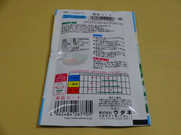 画像2: すじなし つるなし いんげん (2)