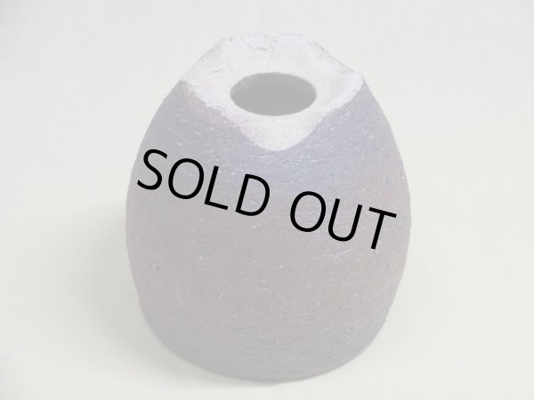 画像2: 岩石ウチョウラン鉢(丸) (2)