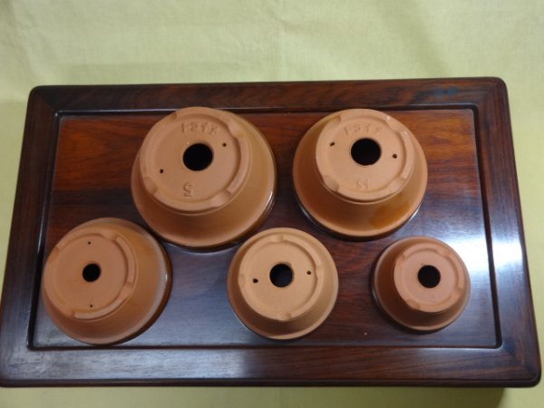 画像3: 園芸鉢 浅(a) (3)