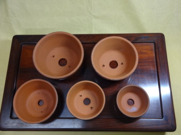 画像2: 園芸鉢 浅(a) (2)