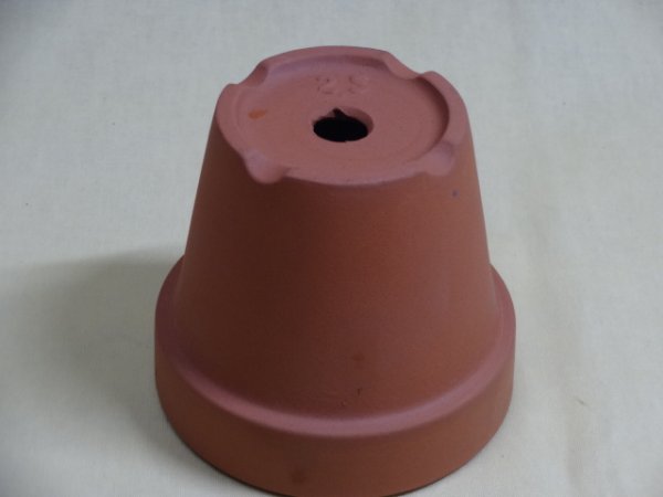 画像2: 朱温鉢/深/2.5号 (2)