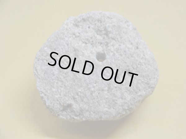 画像3: 軽石鉢 小(3) (3)