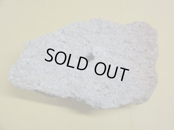 画像3: 軽石鉢 小(10） (3)