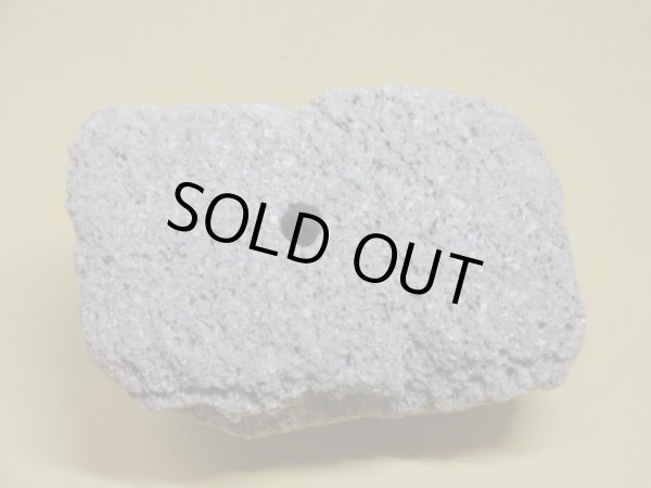 画像3: 軽石鉢 中(1） (3)