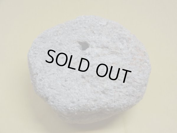 画像3: 軽石鉢 中(6） (3)