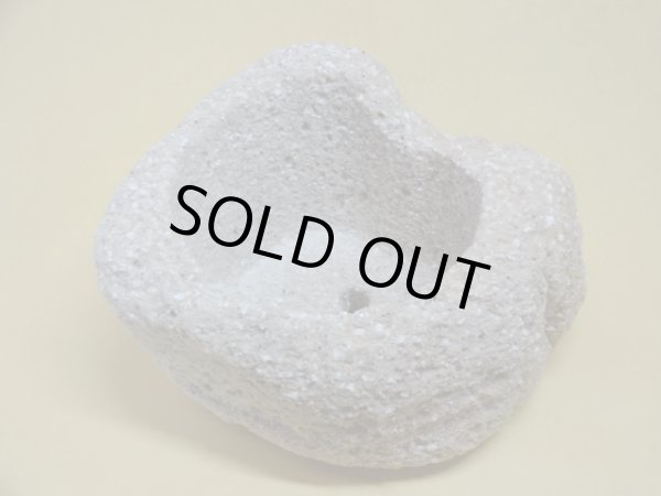 画像2: 軽石鉢 中(8） (2)