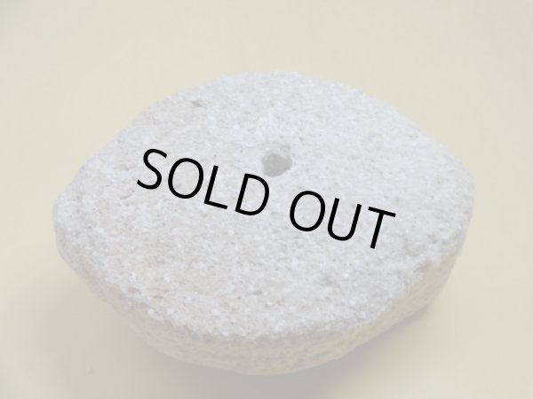 画像3: 軽石鉢 中(8） (3)