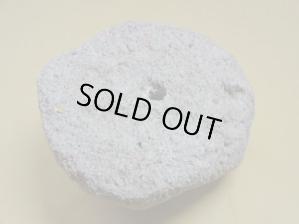 画像3: 軽石鉢 中(5） (3)