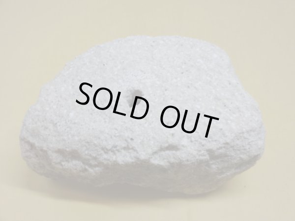 画像3: 軽石鉢 中(7） (3)