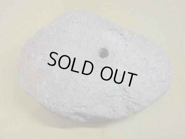 画像3: 軽石鉢 特大(1） (3)