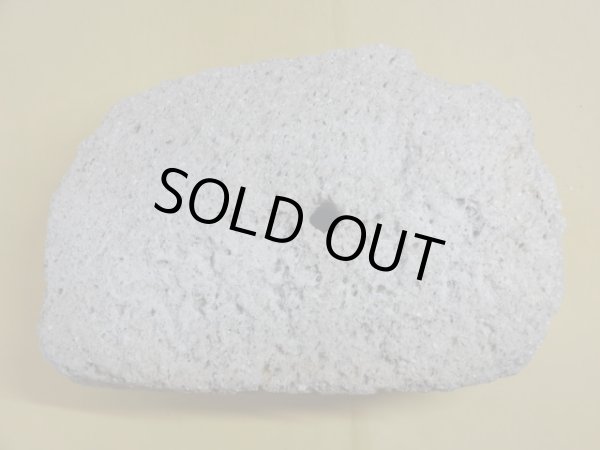 画像3: 軽石鉢 特大(2） (3)