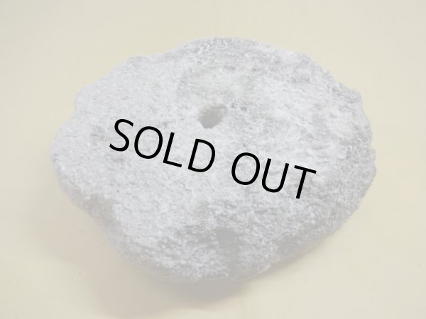 画像3: 軽石鉢 特大(3） (3)