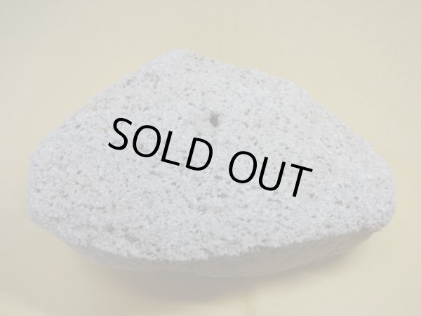 画像3: 軽石鉢 特大(5） (3)