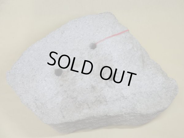 画像3: 軽石鉢 平鉢(1) (3)