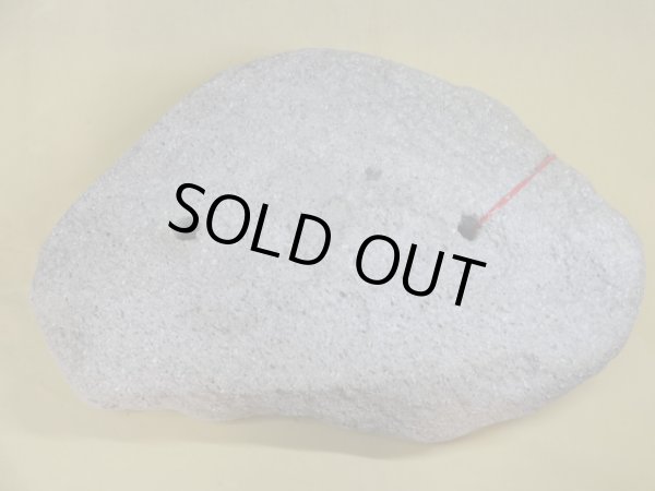 画像3: 軽石鉢 平鉢(3) (3)