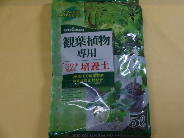 画像1: 観葉植物専用培養土(5ℓ)　 (1)