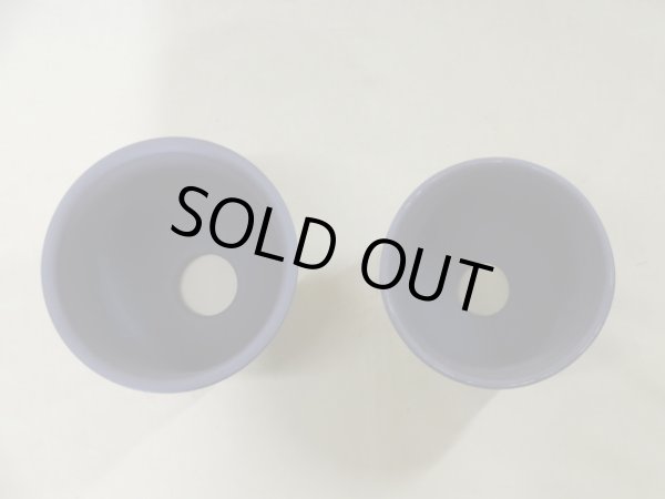 画像2: エビネ鉢帯入(ウ泥) 4.5号/4号 (2)