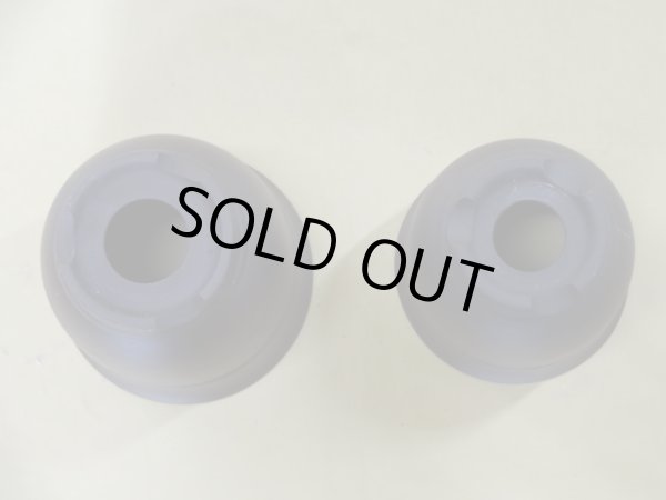 画像3: エビネ鉢帯入(ウ泥) 4.5号/4号 (3)