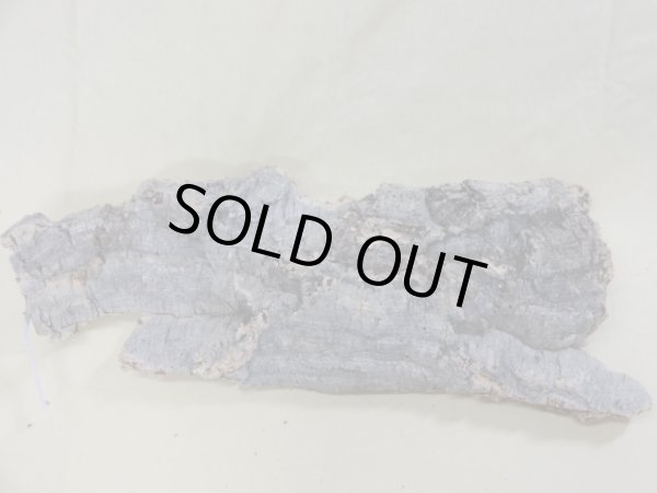 画像3: コルク 半丸(7) (3)