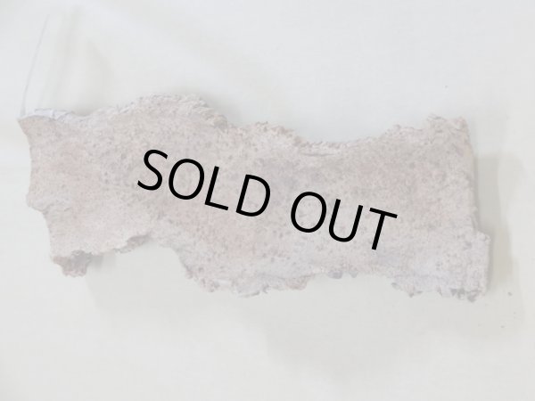 画像2: コルク 半丸(2) (2)