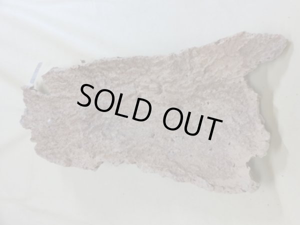 画像2: コルク 半丸(7) (2)