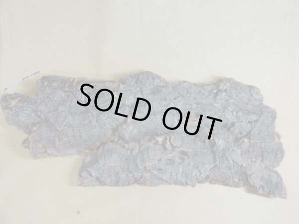 画像3: コルク 半丸(4) (3)