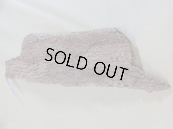 画像2: コルク 半丸(1) (2)