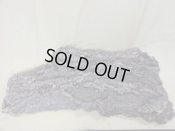 画像3: コルク 半丸(6) (3)