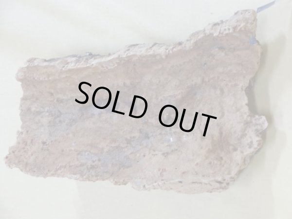 画像2: コルク 半丸(8) (2)