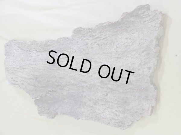 画像2: コルク 半丸(6) (2)