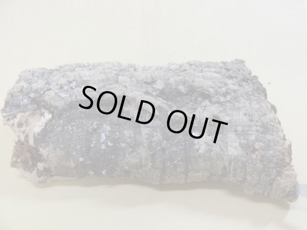 画像3: コルク 半丸(8) (3)