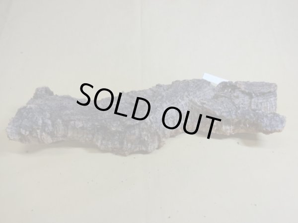 画像3: コルク 半丸(2) (3)