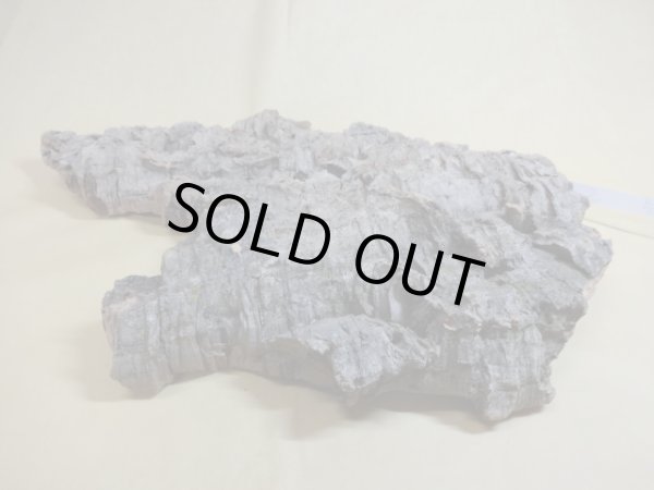 画像3: コルク 半丸(5) (3)