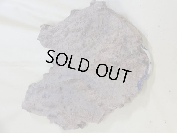 画像2: コルク 半丸(5) (2)