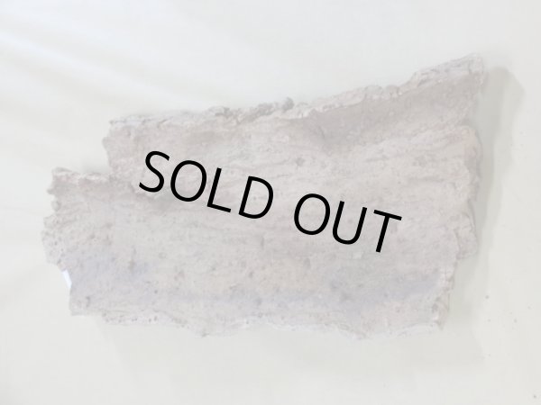 画像2: コルク 半丸(4) (2)