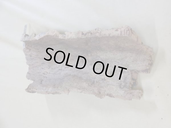 画像2: コルク 半丸(3) (2)