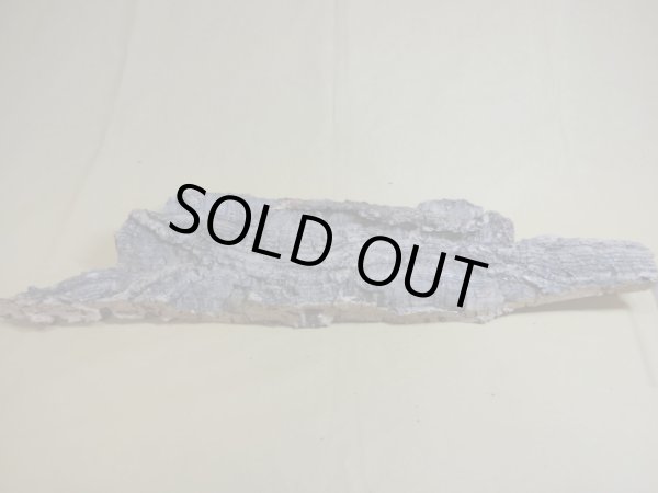 画像3: コルク 半丸(1) (3)