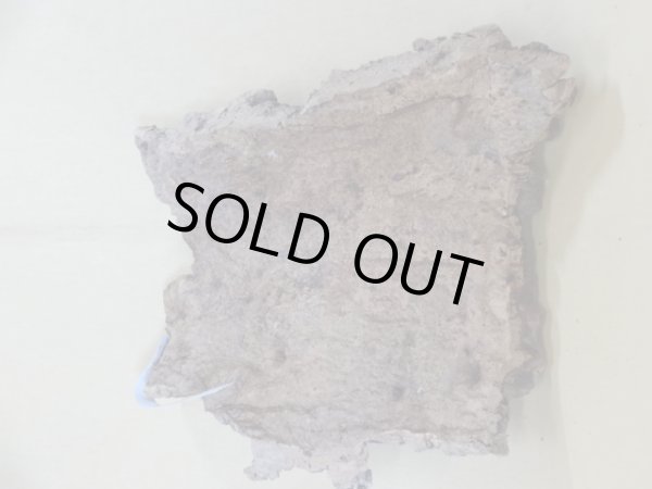 画像2: コルク 半丸(11) (2)