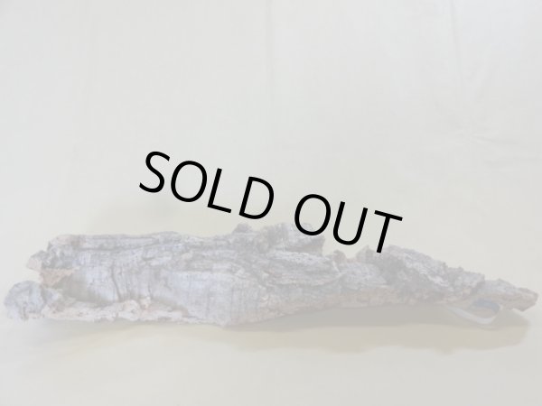 画像3: コルク 半丸(9) (3)