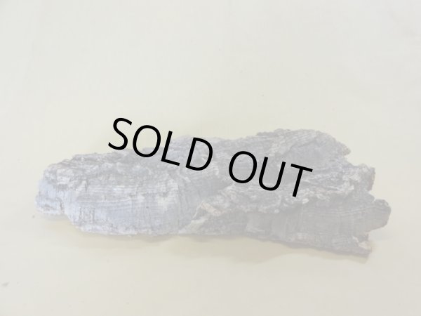 画像3: コルク 半丸(10) (3)