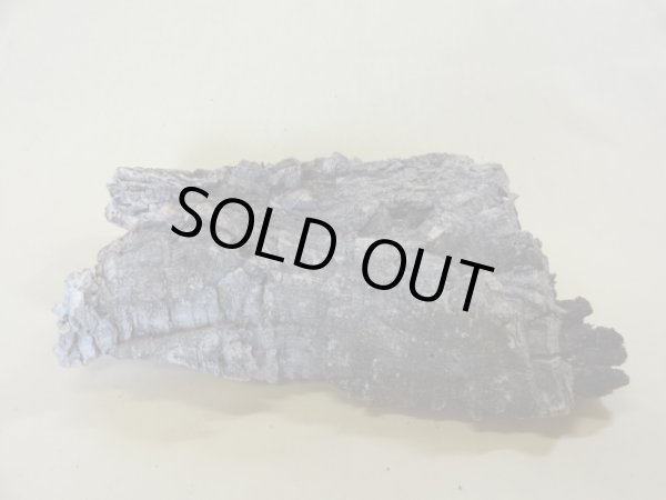 画像3: コルク 半丸(11) (3)