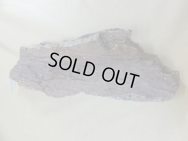 画像2: コルク 半丸(12) (2)