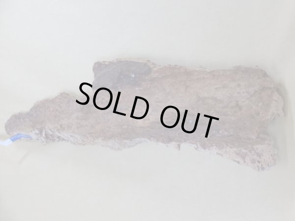 画像2: コルク 半丸(9) (2)