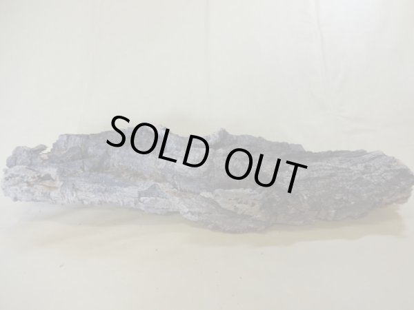 画像3: コルク 半丸(12) (3)