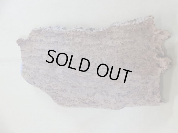 画像2: コルク 半丸(10) (2)