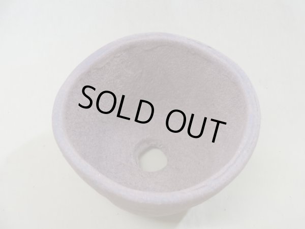 画像2: 焼〆中深鉢/5号 (2)