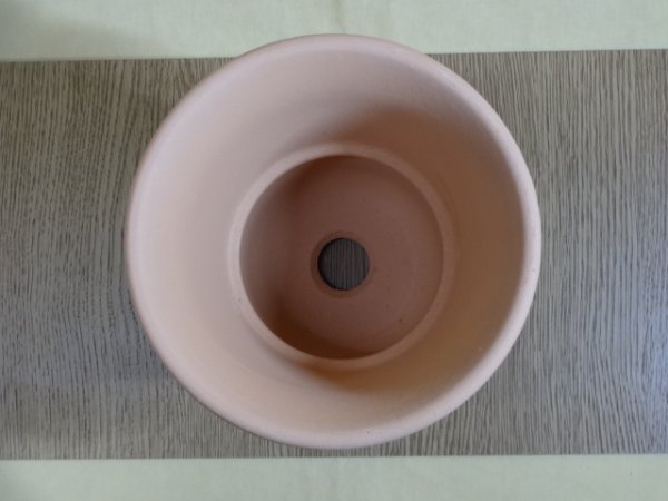 画像2: 素焼きラン鉢 5号 (2)