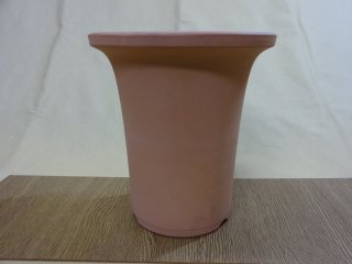 胡蝶蘭鉢3本立ち（1本に10～12輪付き ※輪数は時期より変動します